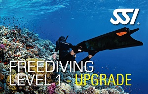 FD LEVEL1upgrade