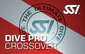 Pro_Crossover