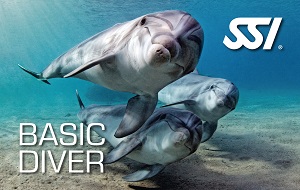 basic-diver