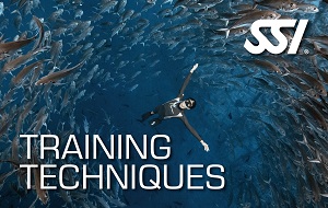 training-techniques