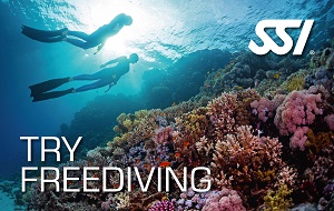 try-freediving