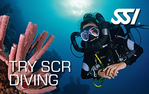 try_scr