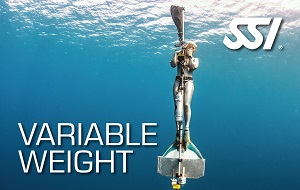 variable-weight